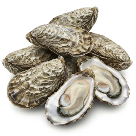 Tiram - Oyster Half Shell (5Kg)