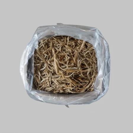 Ikan Masin Domi (10Kg)