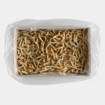 Ikan Masin Malong (12Kg)