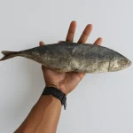 Ikan Masin Tenggiri - Besar (10Kg)